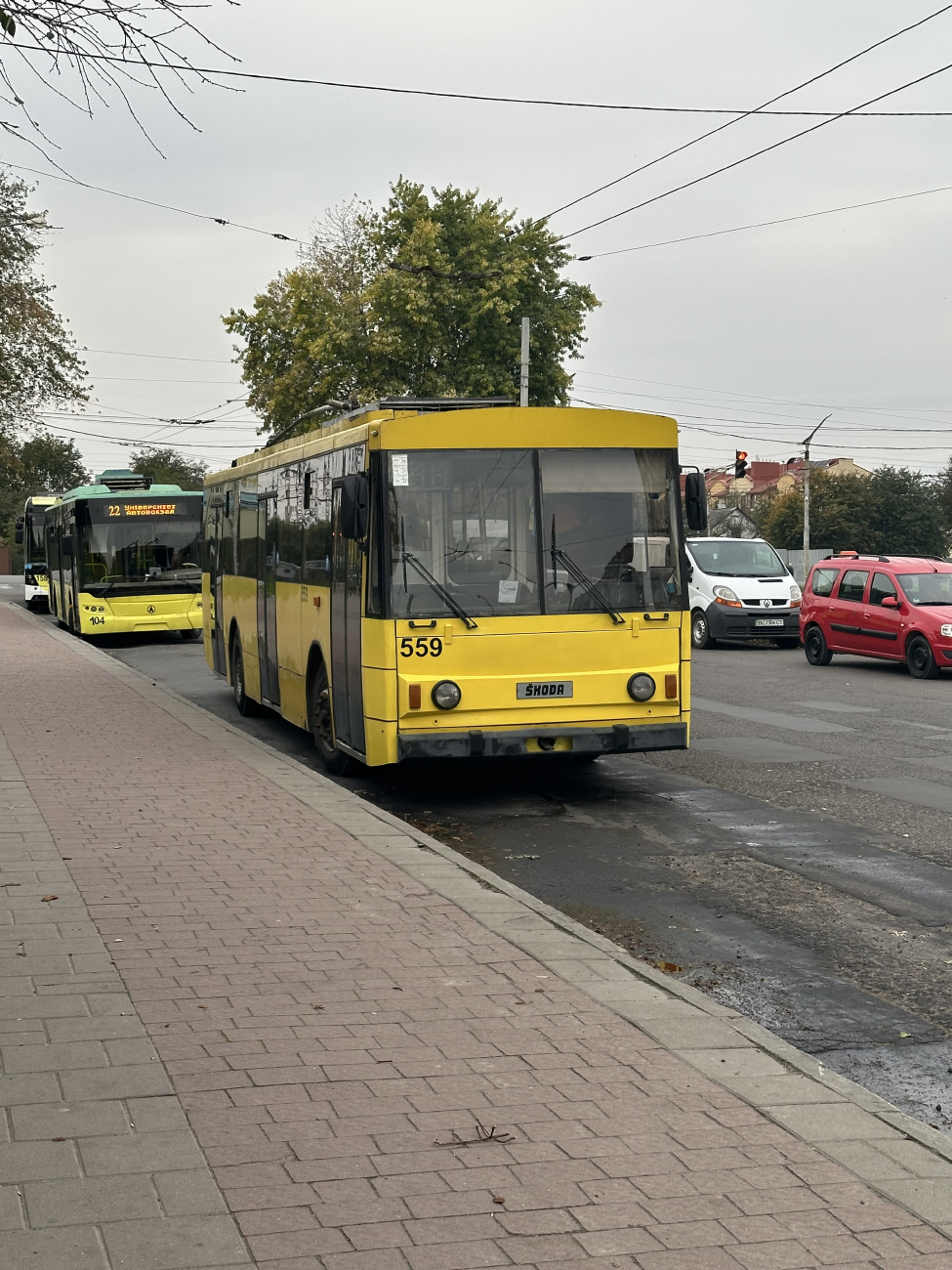 Львов, Škoda 14Tr89/6 № 559