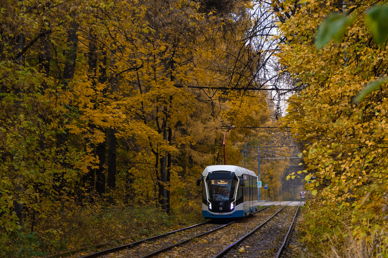 Москва, 71-931М «Витязь-М» № 31299