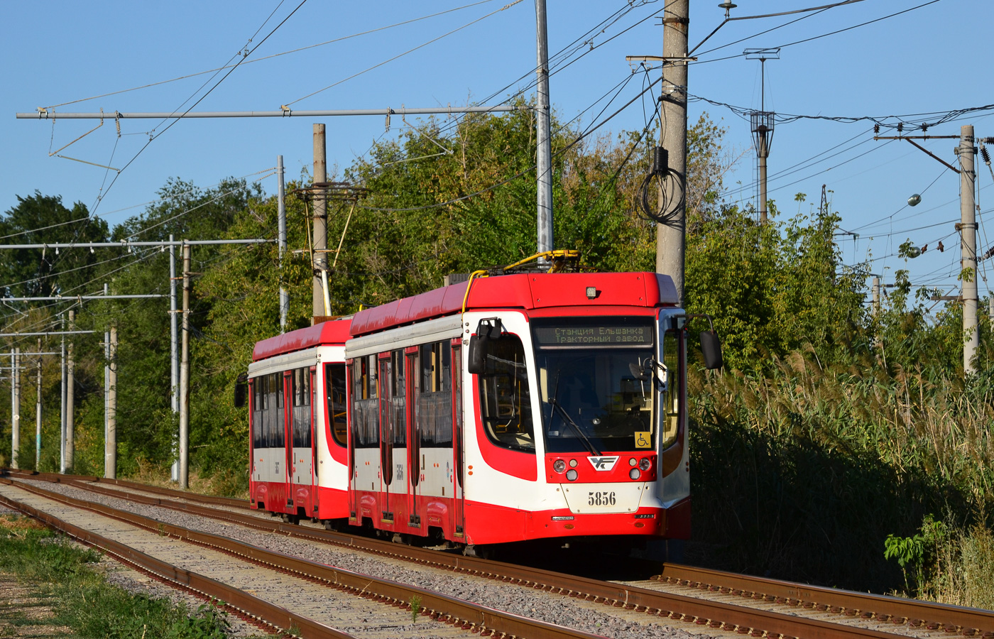 Волгоград, 71-623-03 № 5856