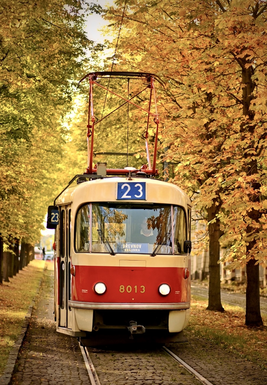 Прага, Tatra T3M № 8013