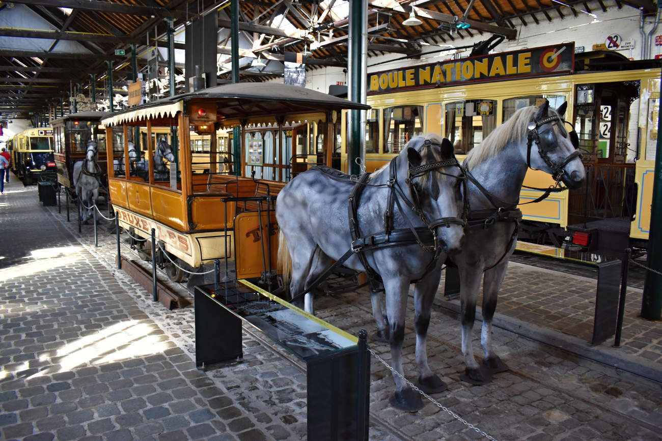 Брюссель, Конка № 31