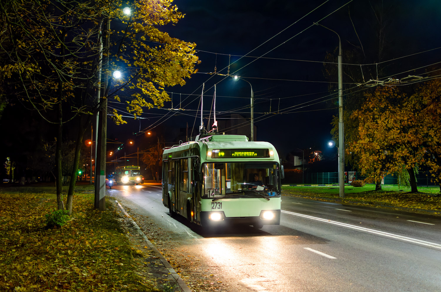 Homiel, BKM 32102 # 2731 Homiel, BKM 32102 # 2731