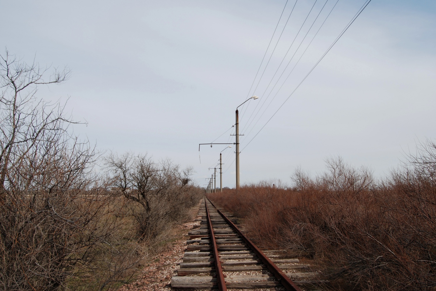 Молочное — Разные фотографии