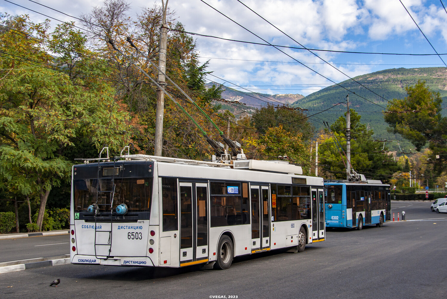 Крымский троллейбус, СВАРЗ-МАЗ-6275 № 6503