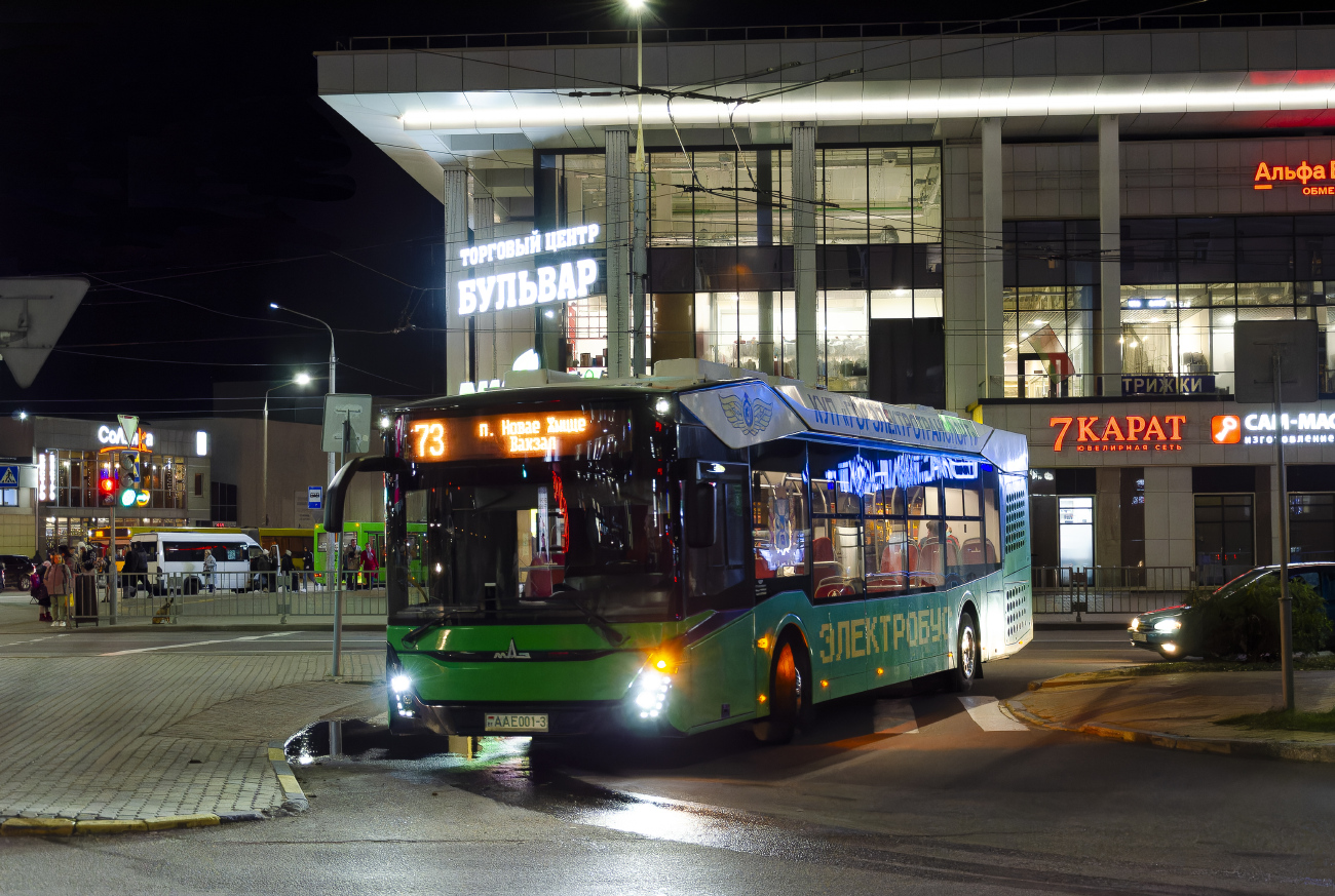 Гомель, МАЗ-303Е10 № 1858