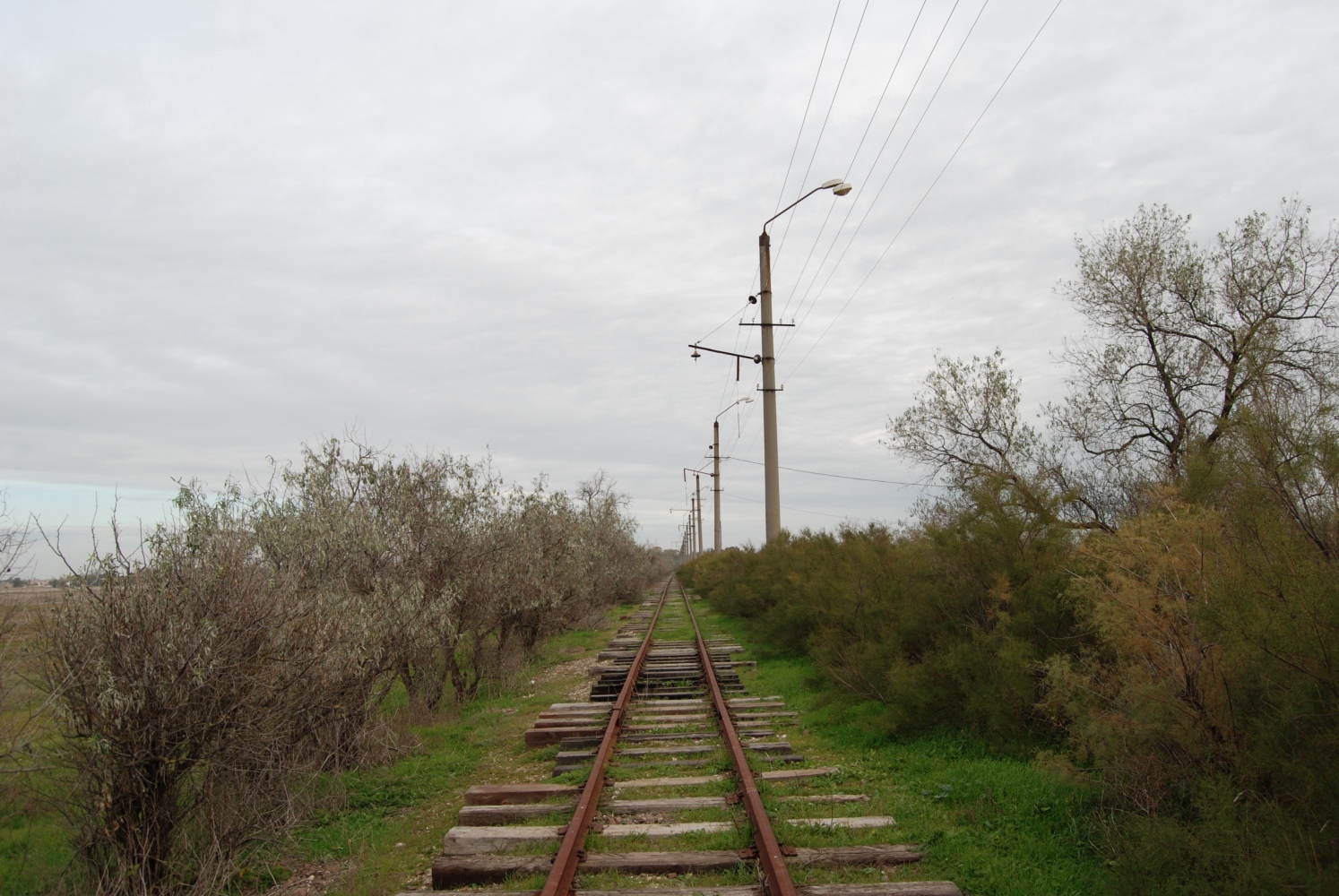 Молочное — Разные фотографии