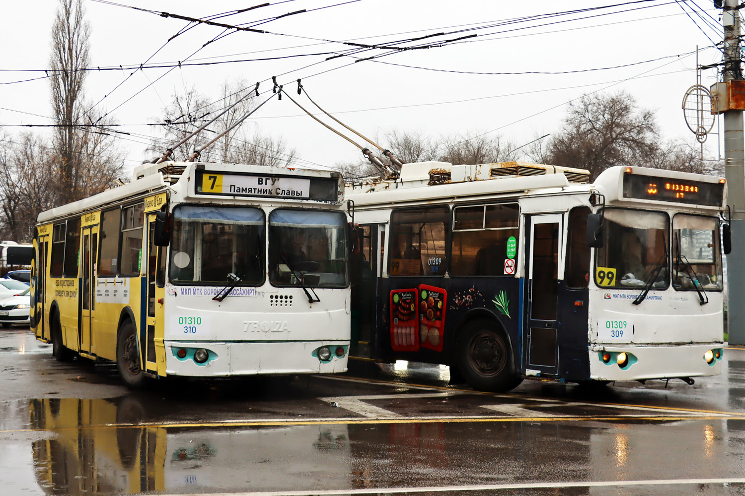 Воронеж, ЗиУ-682Г-016.02 № 01310 (310)