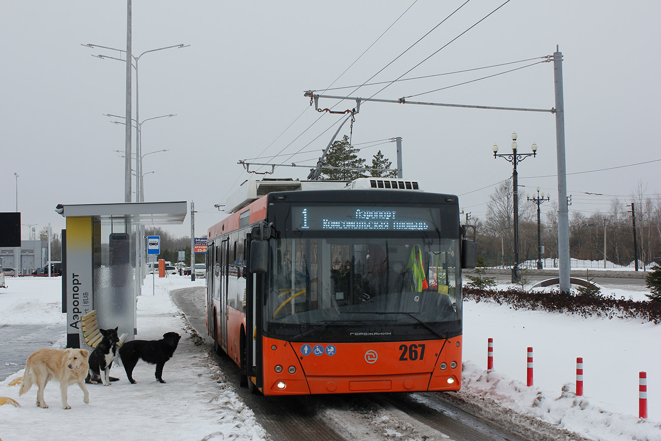 Хабаровск, УТТЗ-6241.01 «Горожанин» № 267; Транспорт и животные