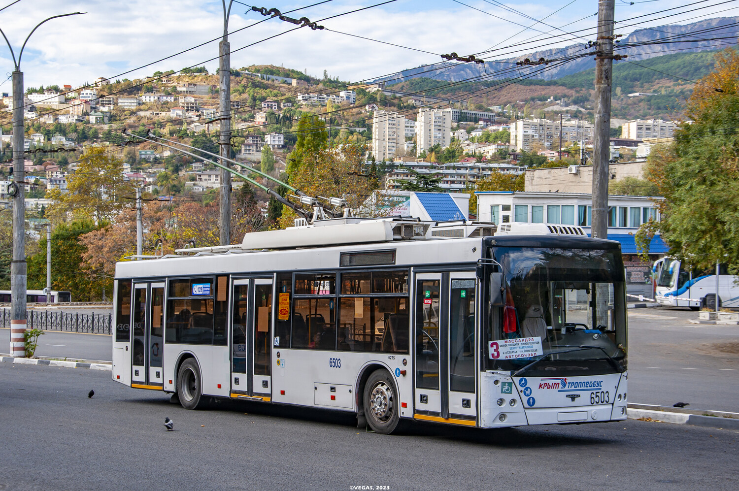 Крымский троллейбус, СВАРЗ-МАЗ-6275 № 6503