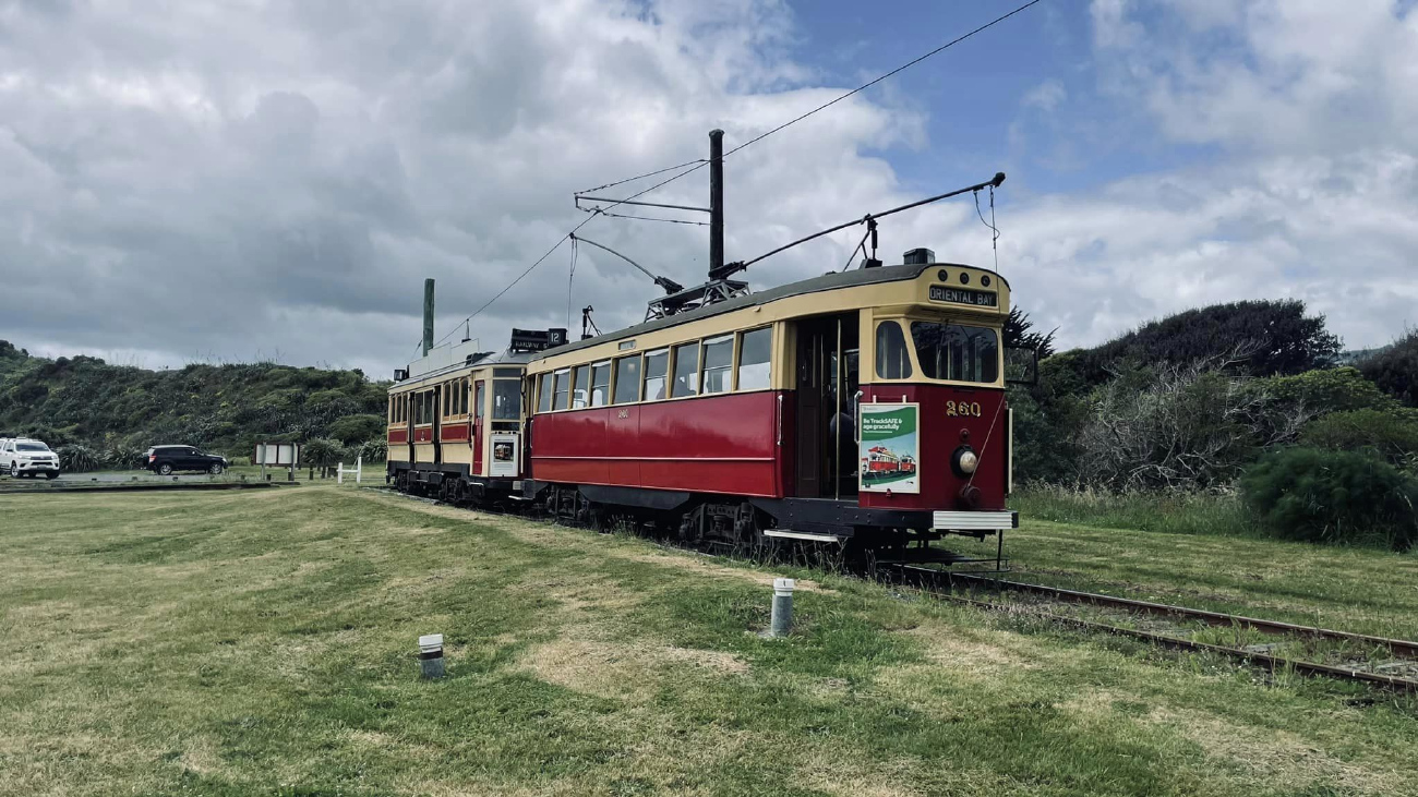 Паекакарики, Wellington City Tramways Company Ltd № 260