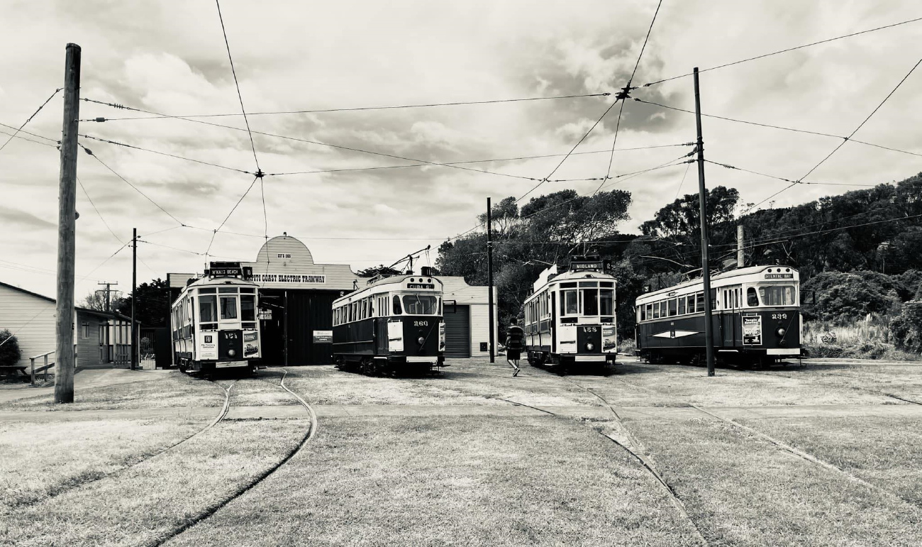 Паекакарики, Wellington City Tramways Company Ltd № 151; Паекакарики, Wellington City Tramways Company Ltd № 260; Паекакарики, Wellington City Tramways Company Ltd № 159; Паекакарики, Wellington City Tramways Company Ltd № 239