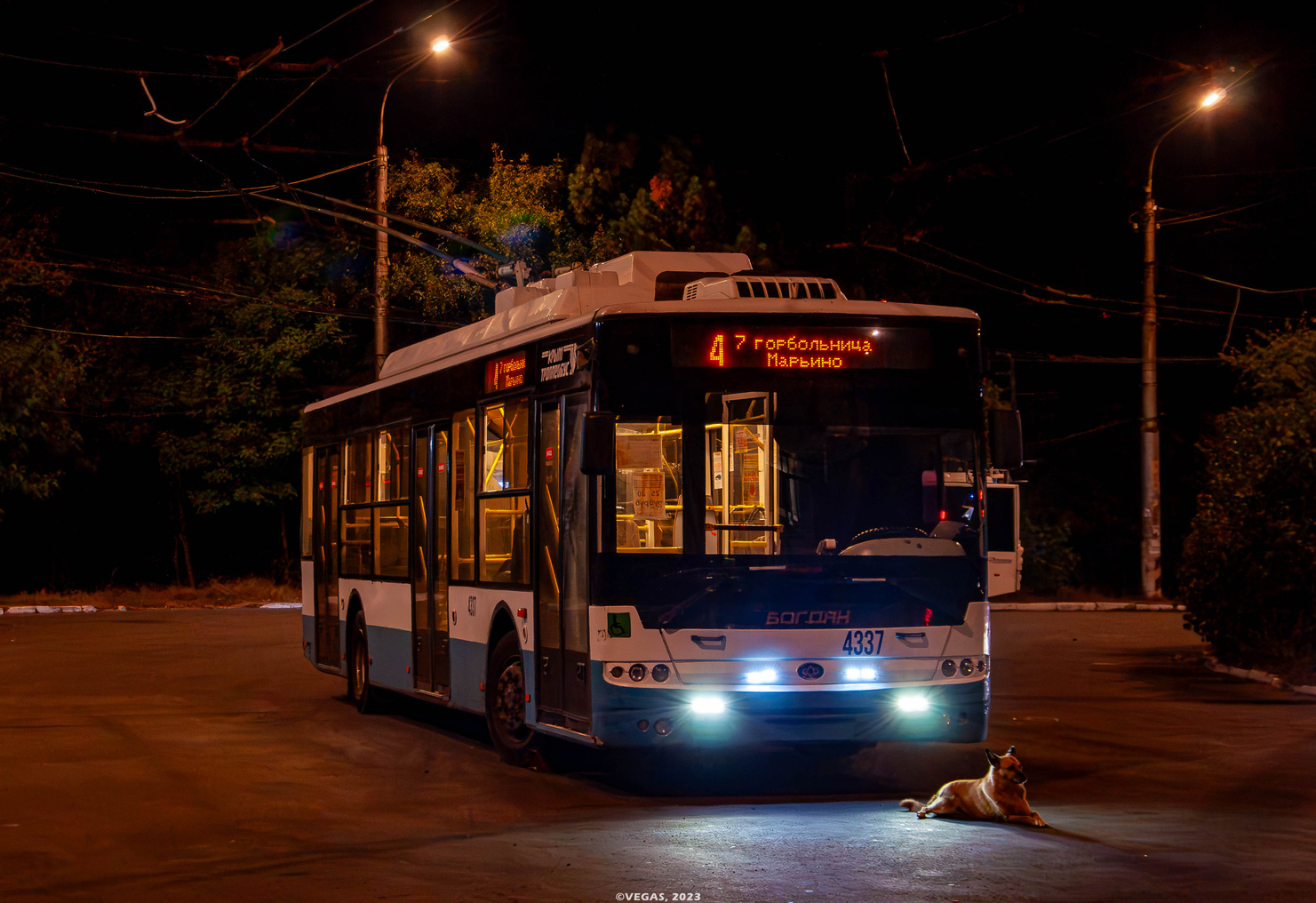 Крымский троллейбус, Богдан Т70110 № 4337; Транспорт и животные