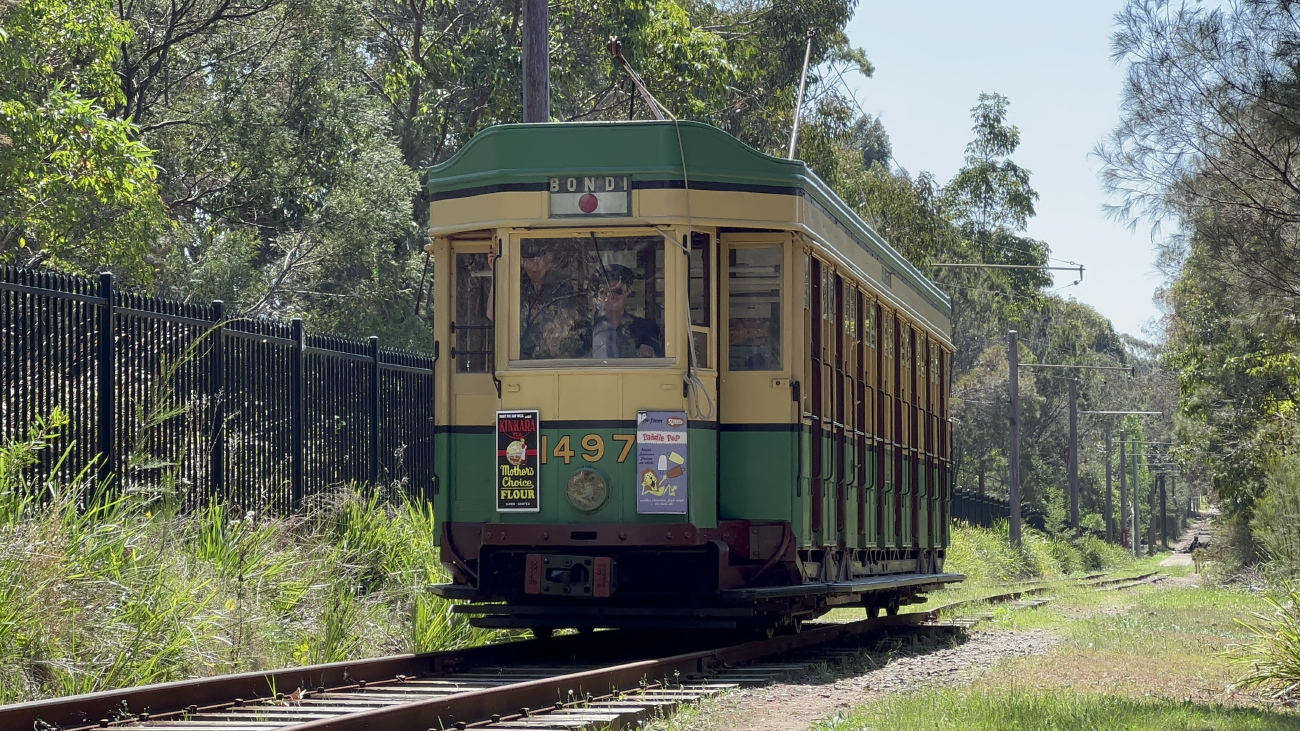 Сидней, Sydney P Class № 1497