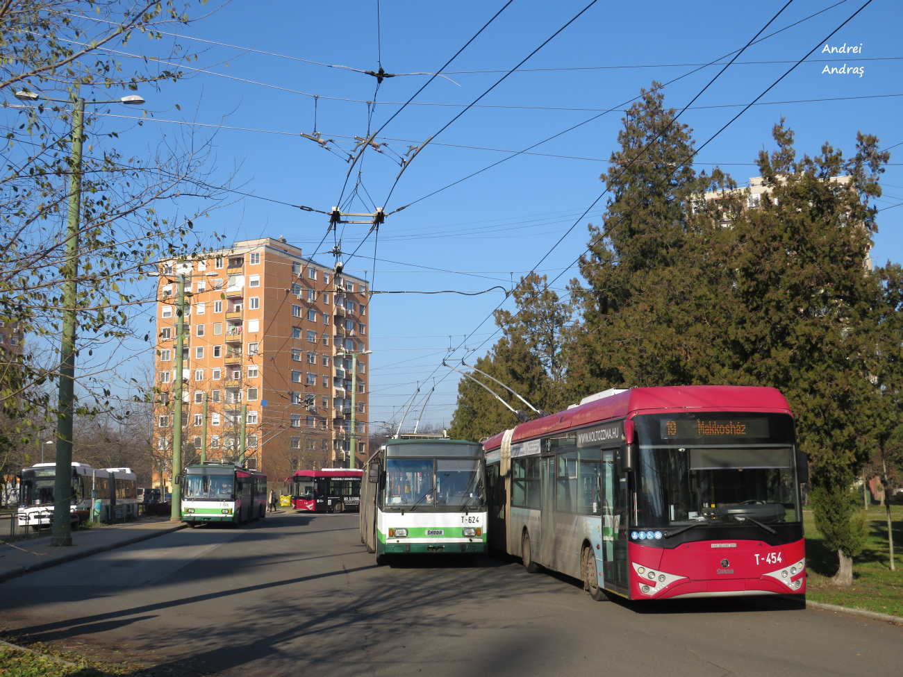 Szeged, Škoda 15TrM — T-624; Szeged, Ikarus-Škoda Tr187.2 — T-454