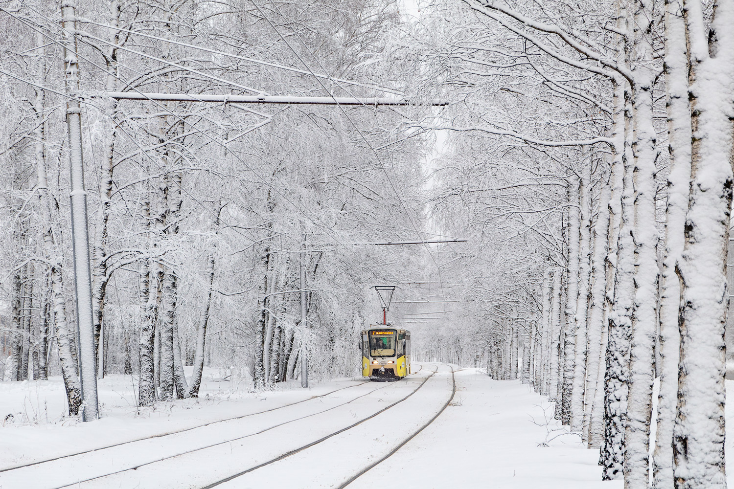 Jaroslawl — Tramway lines