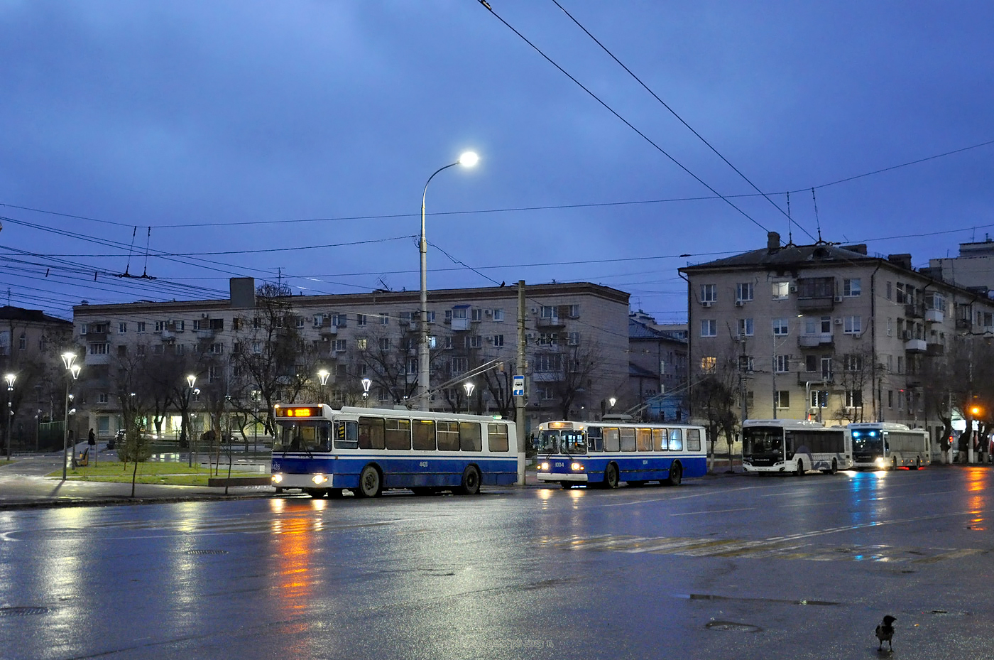 Волгоград, ЗиУ-682Г-016 (018) № 4428; Волгоград, ЗиУ-682 (ВЗСМ) № 1004