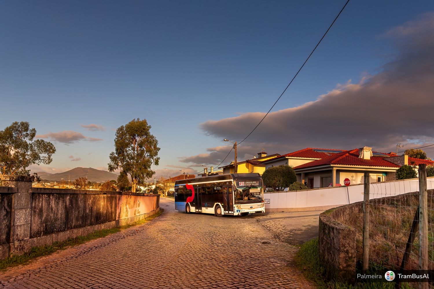 Braga, Caetano e.City Gold Nr 1020