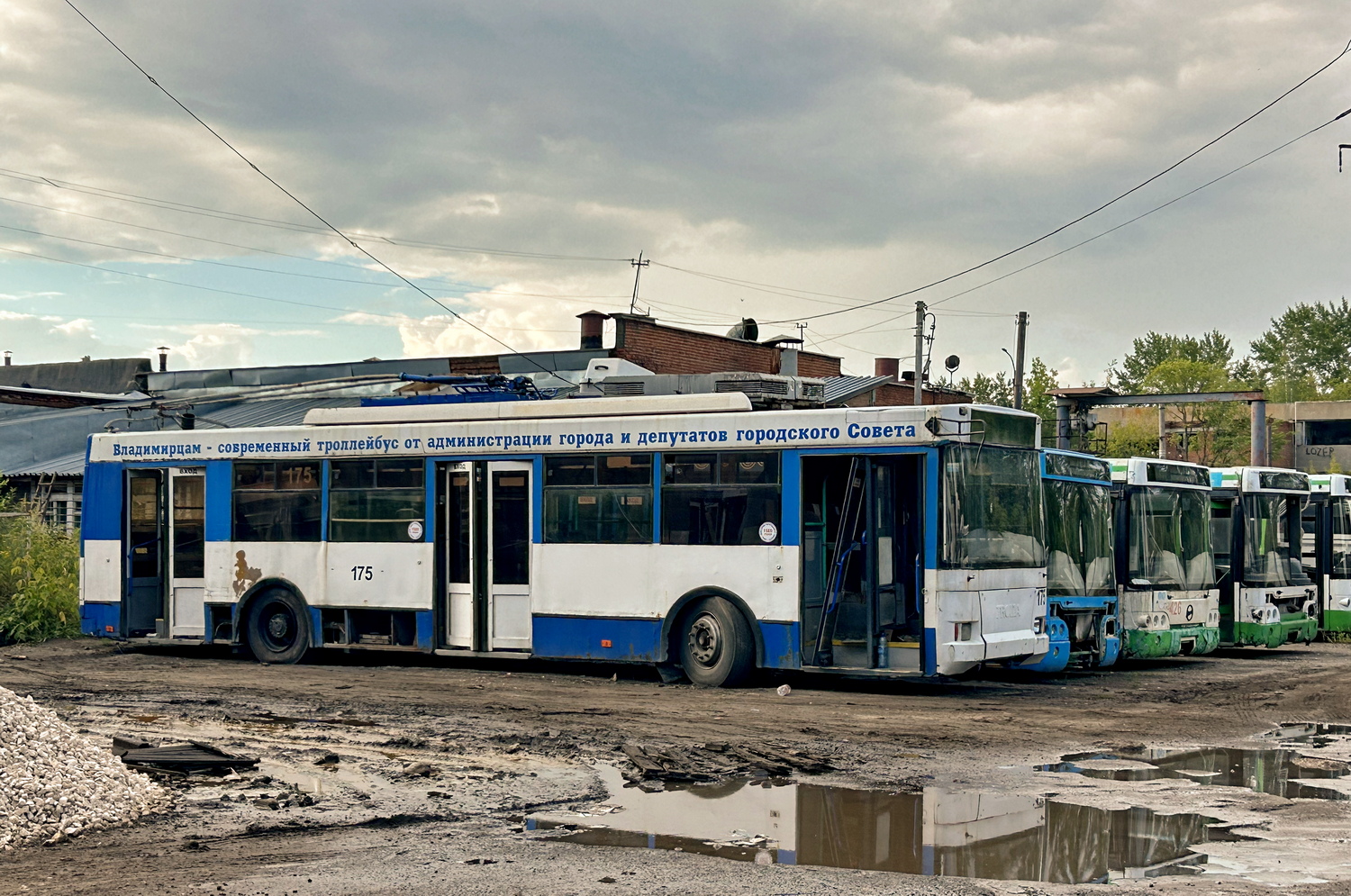 Владимир, Тролза-5275.05 «Оптима» № 175