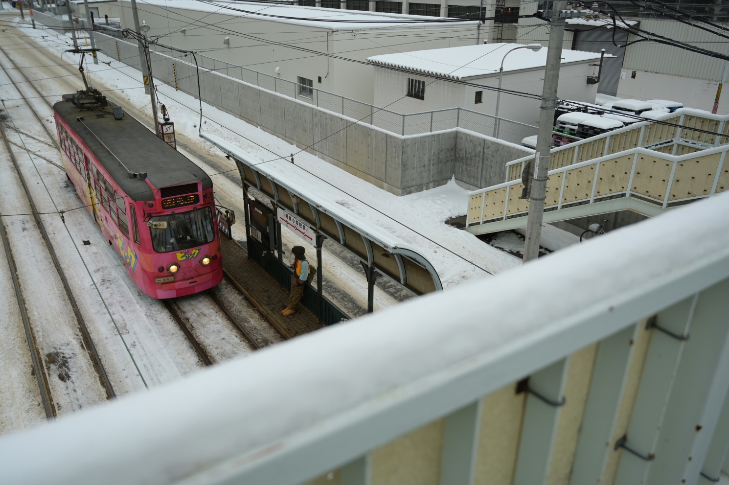 Саппоро, Sapporo 250 series № 252