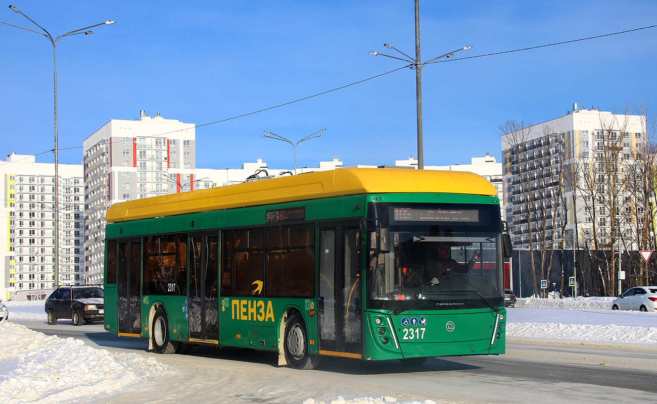 朋札, UTTZ-6241.01 “Gorozhanin” # 2317