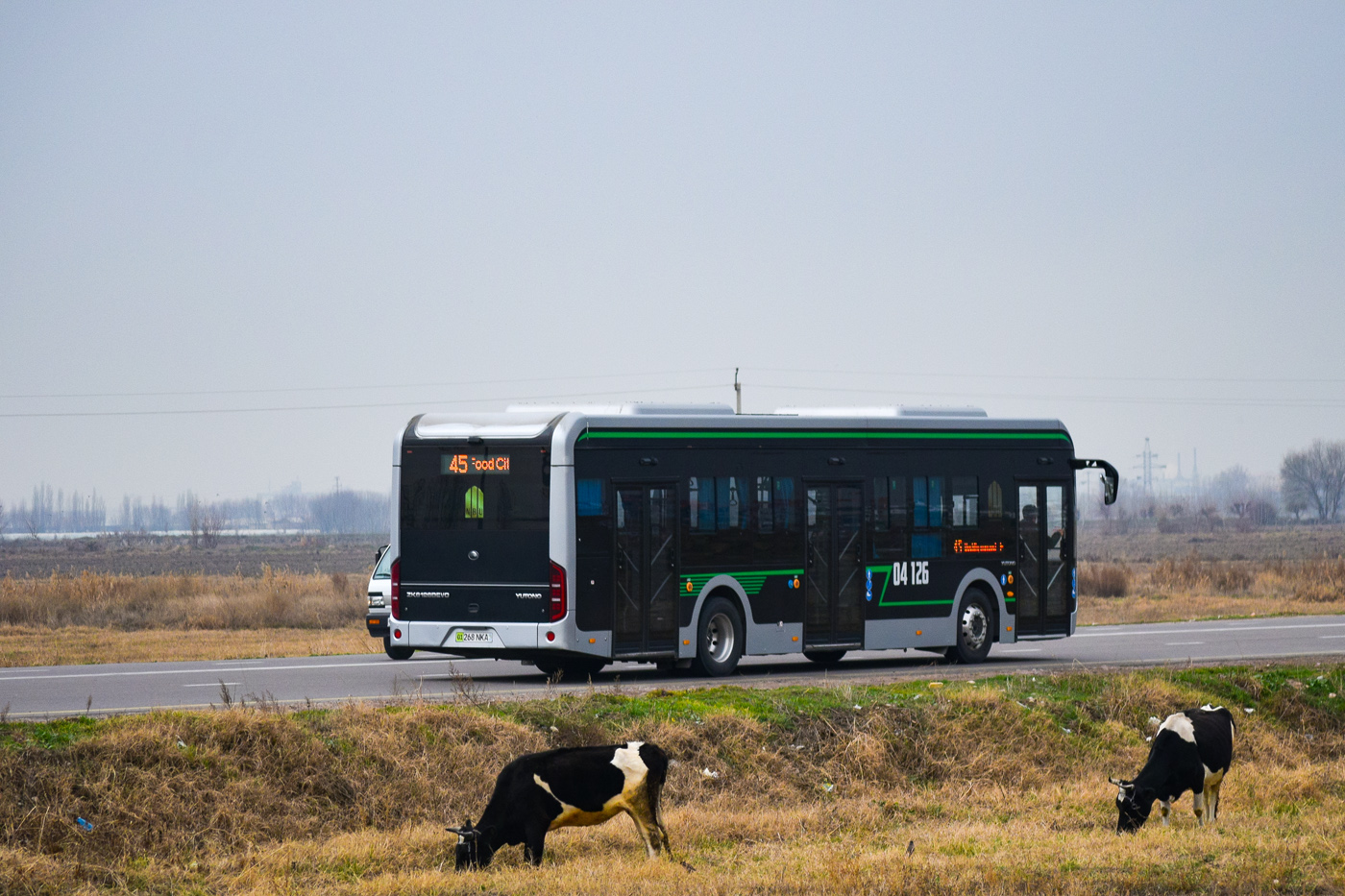 Taskent, Yutong ZK6126BEVG — 04126; Transport and animals