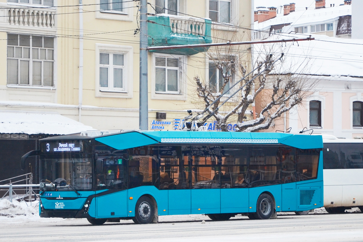 Казань, МАЗ-303Т22 № 2004