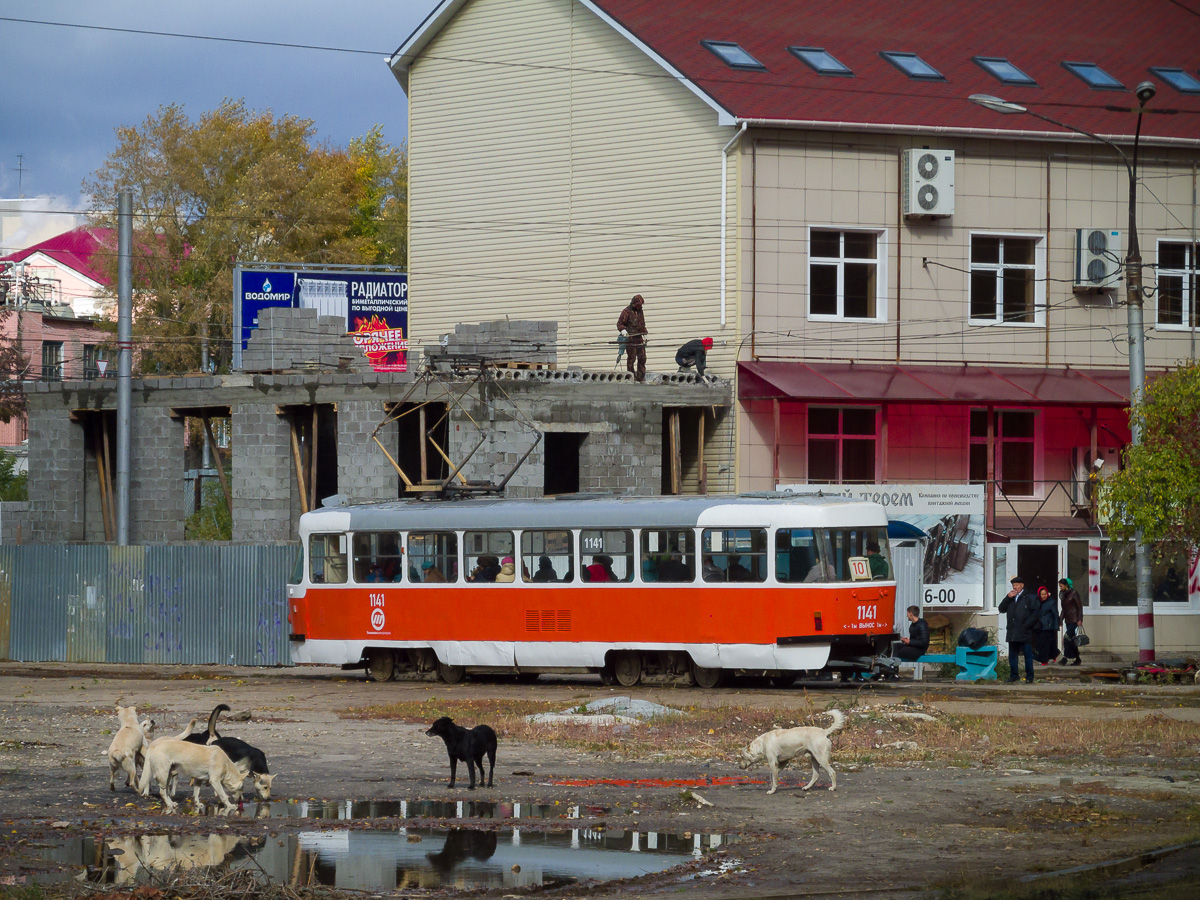 Ulyanovsk, Tatra T3SU č. 1141; Transport and animals