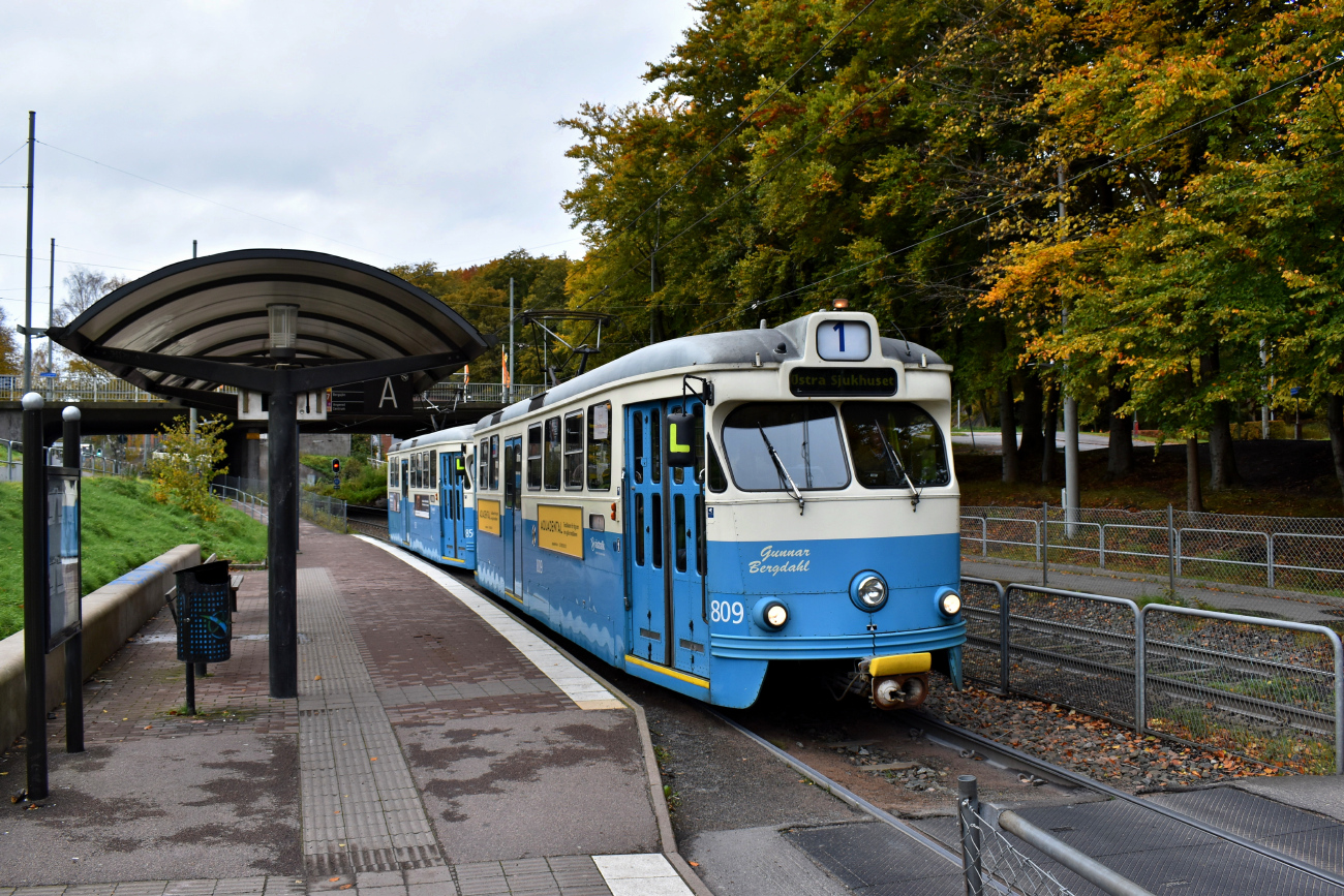 Гётеборг, Hägglund M29 № 809