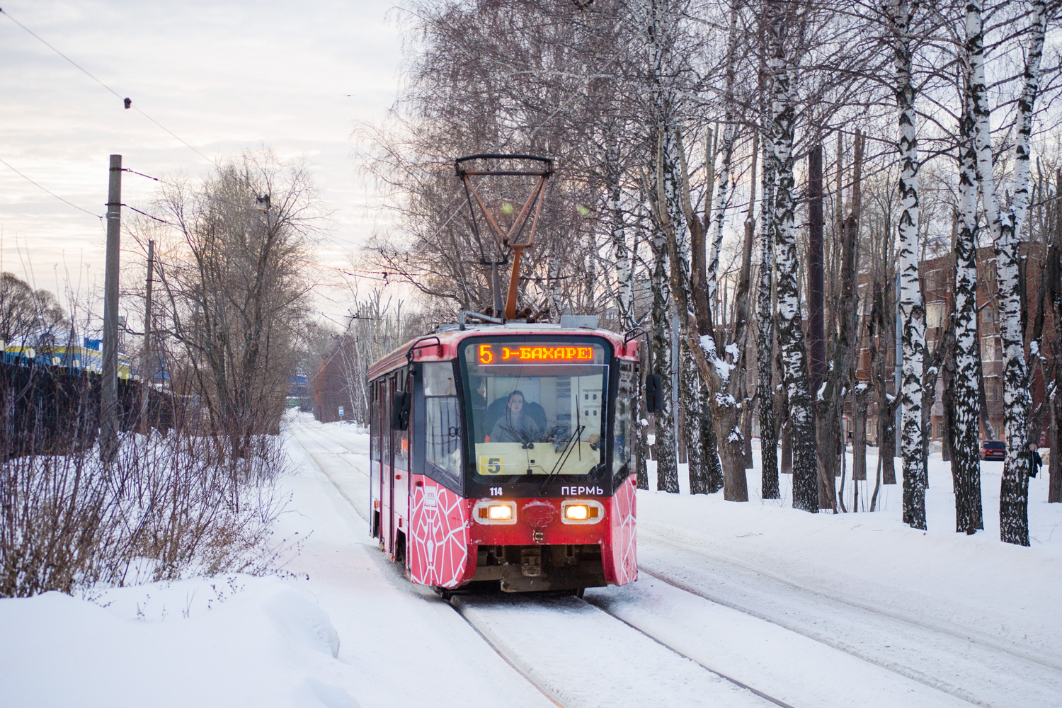 Пермь, 71-619К № 114