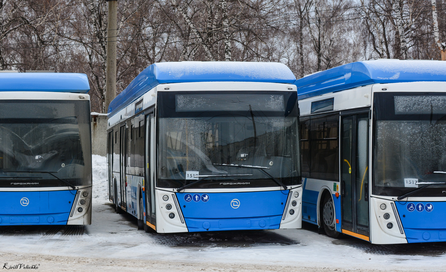 Novosibirsk, UTTZ-6241.01 “Gorozhanin” Br. 1519