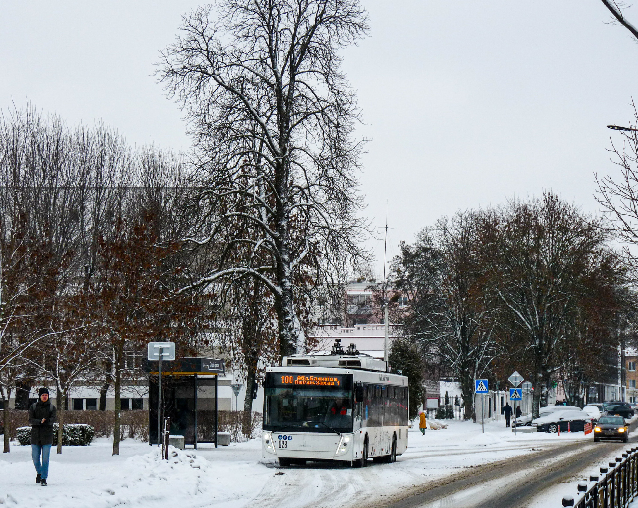 Brest, MAZ-203T70 č. 028