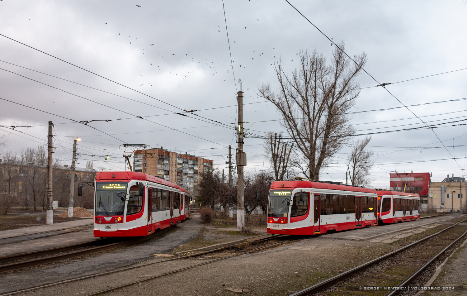 Волгоград, 71-623-03 № 5867; Волгоград, 71-623-03 № 5852