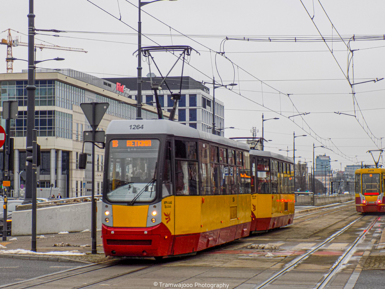 Лодзь, Konstal/MPK 805N-M12 № 1264