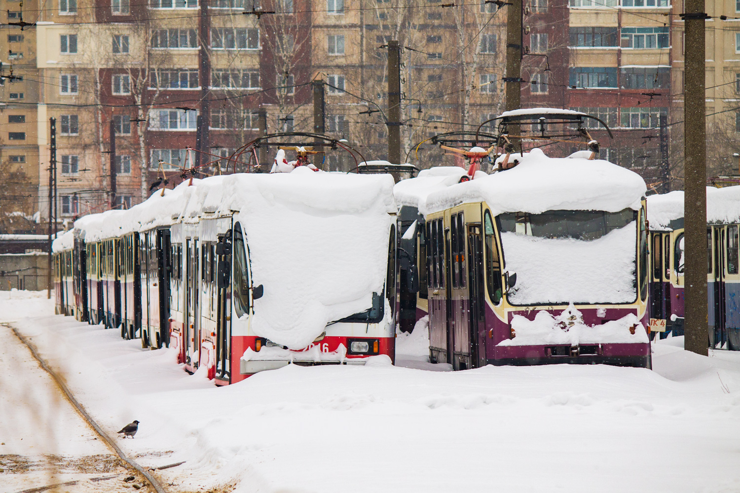 Нижни Новгород, 71-409 № 2016; Нижни Новгород, 71-403 № 2003