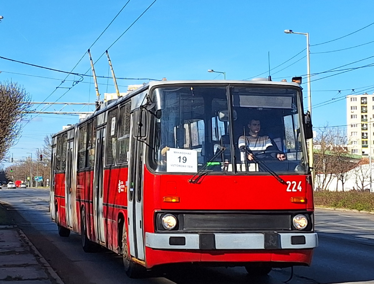 Сегед, Ikarus 280.94 № 224