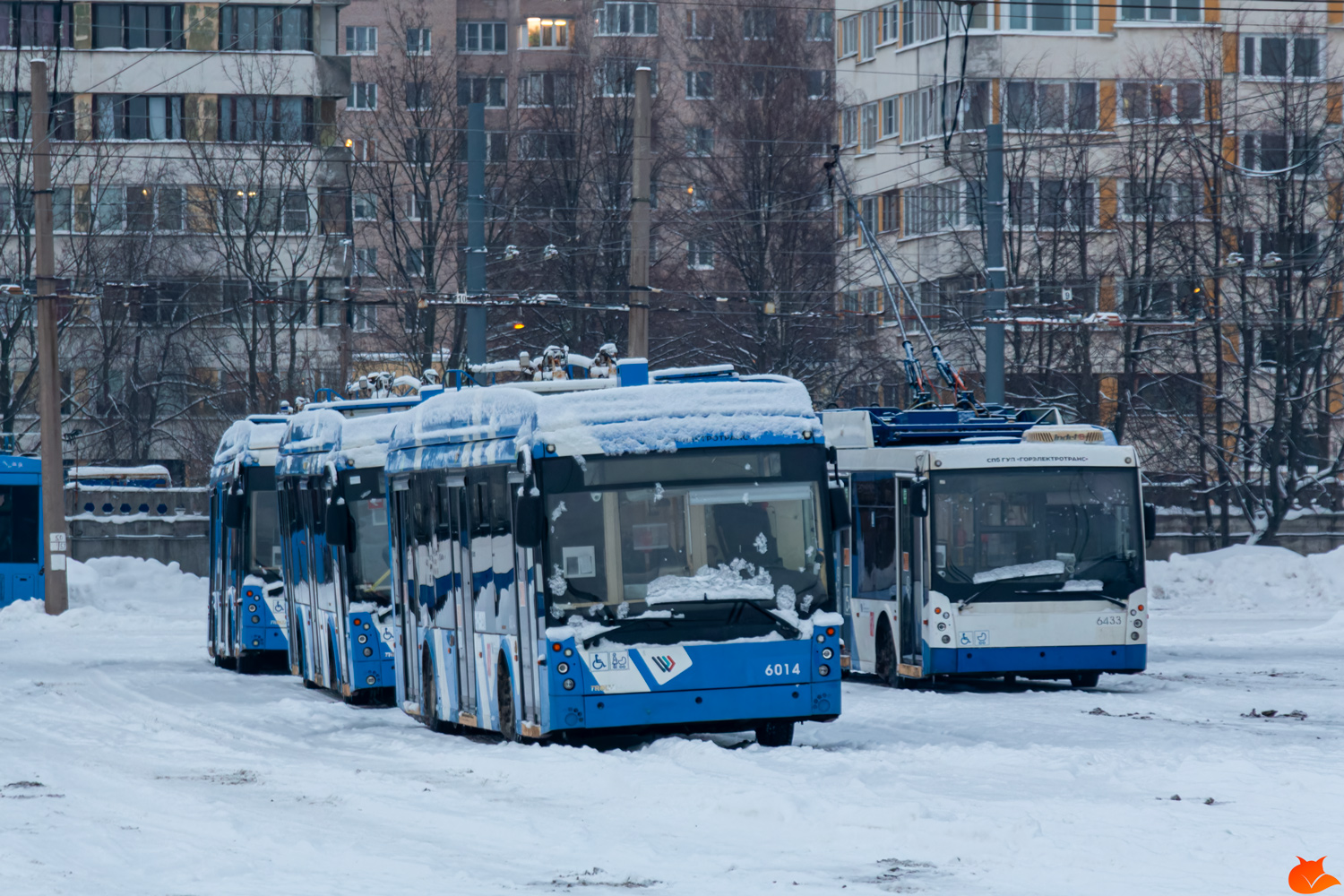 Sankt Petersburg, Trolza-5265.08 “Megapolis” Nr 6014