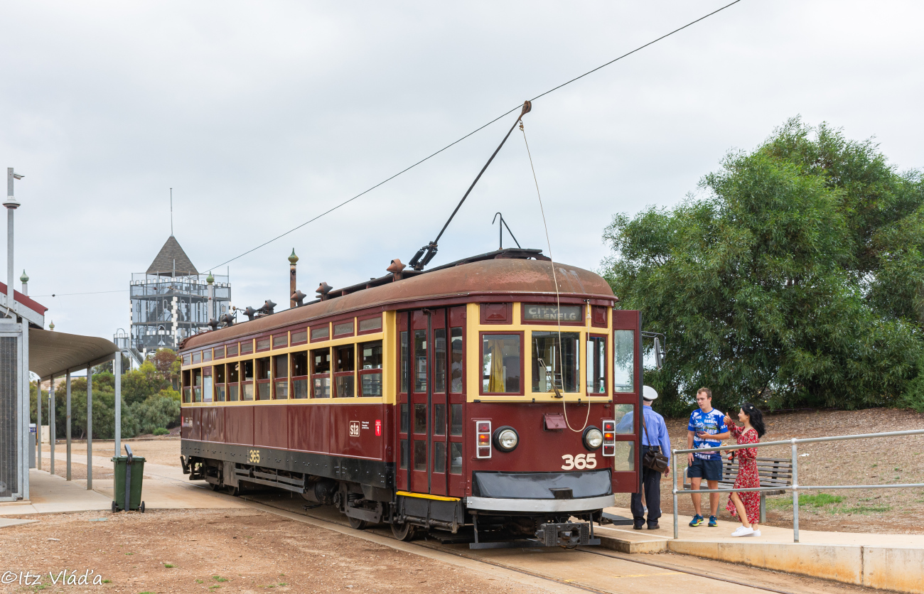 St. Kilda, Pengelley MTT Type H # 365