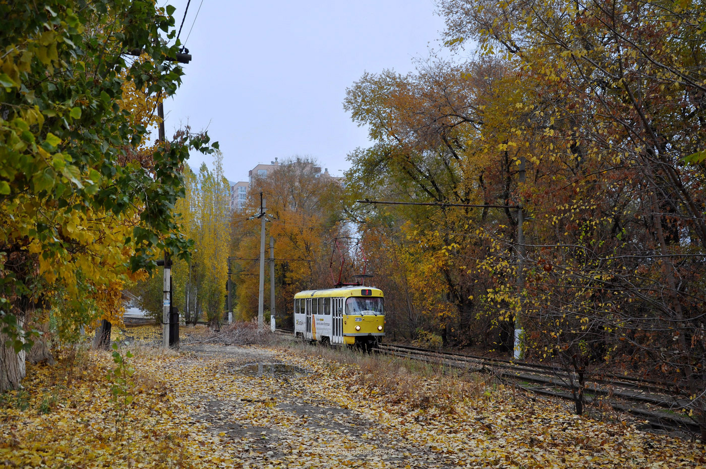 Волгоград, Tatra T3SU № 2739