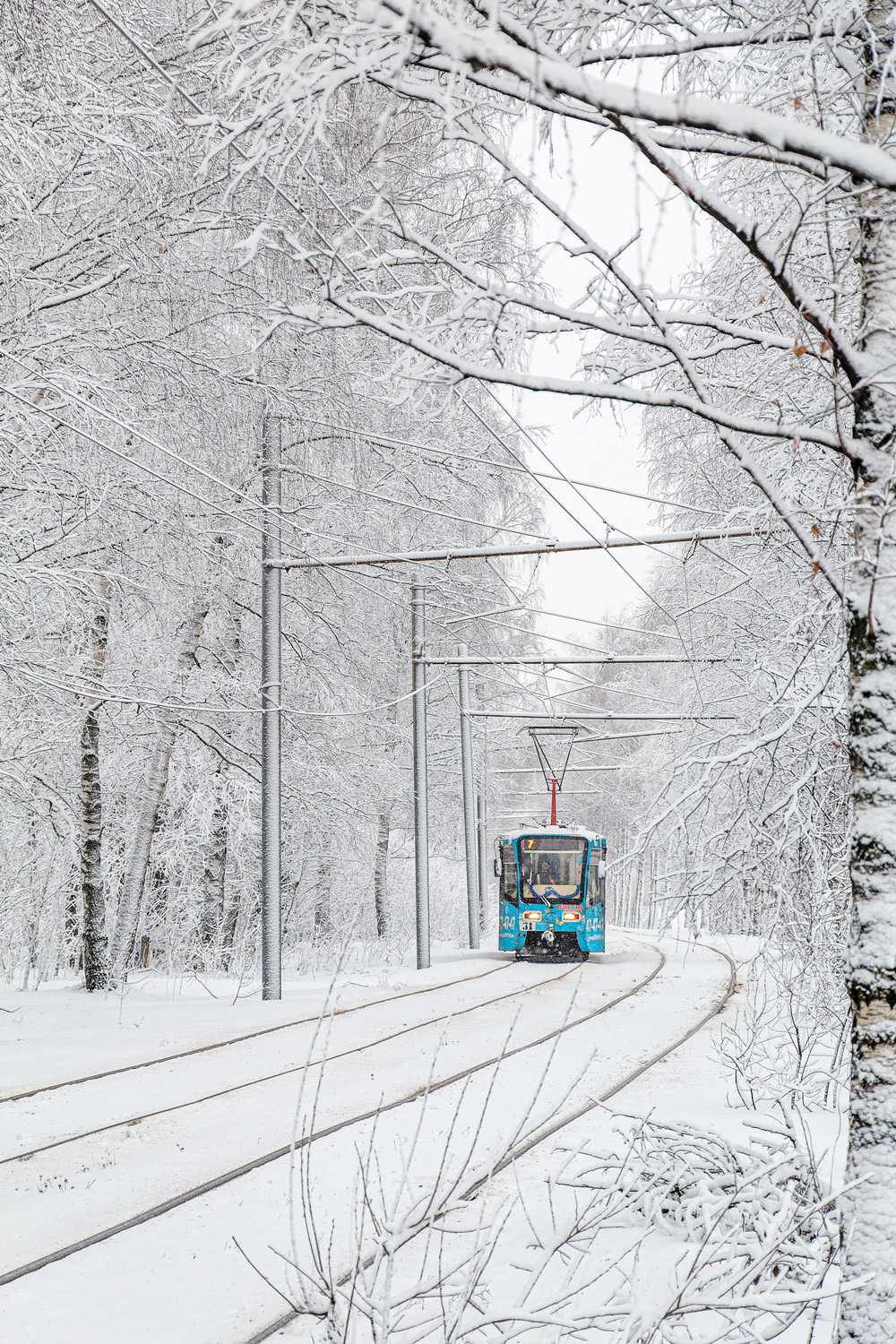 Yaroslavl, 71-619KT № 31; Yaroslavl — Miscellaneous photos