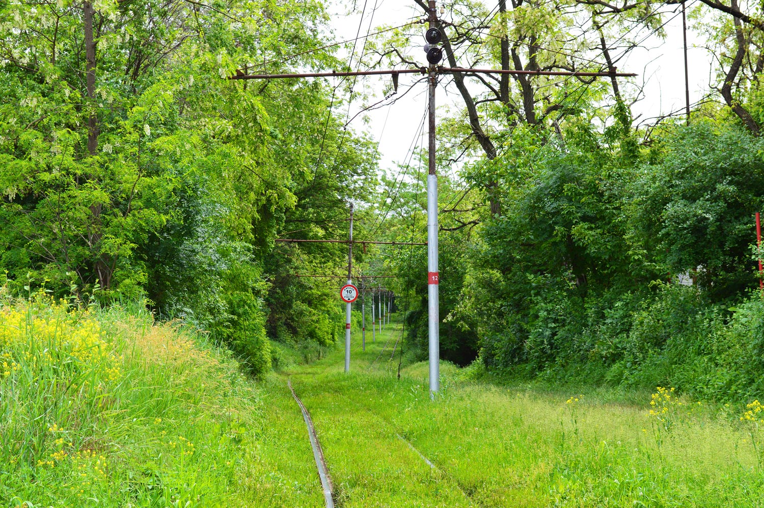 Пятигорск — Разные фотографии