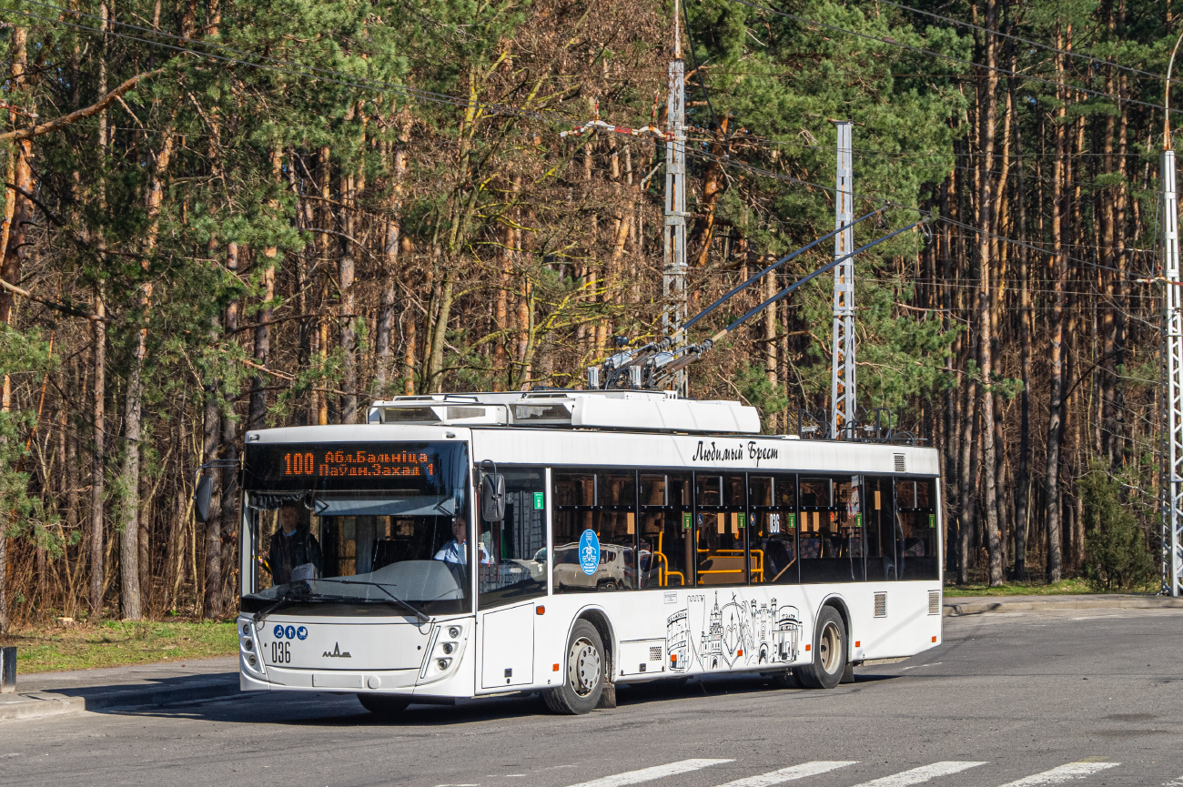 布列斯特, MAZ-203T70 # 036
