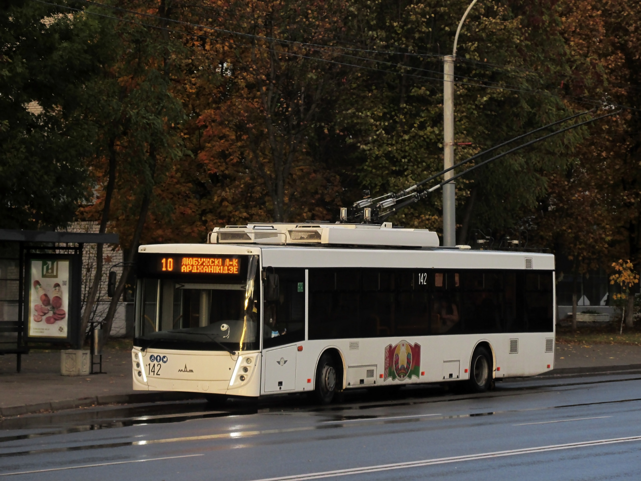 Могилёв, МАЗ-203Т70 № 142