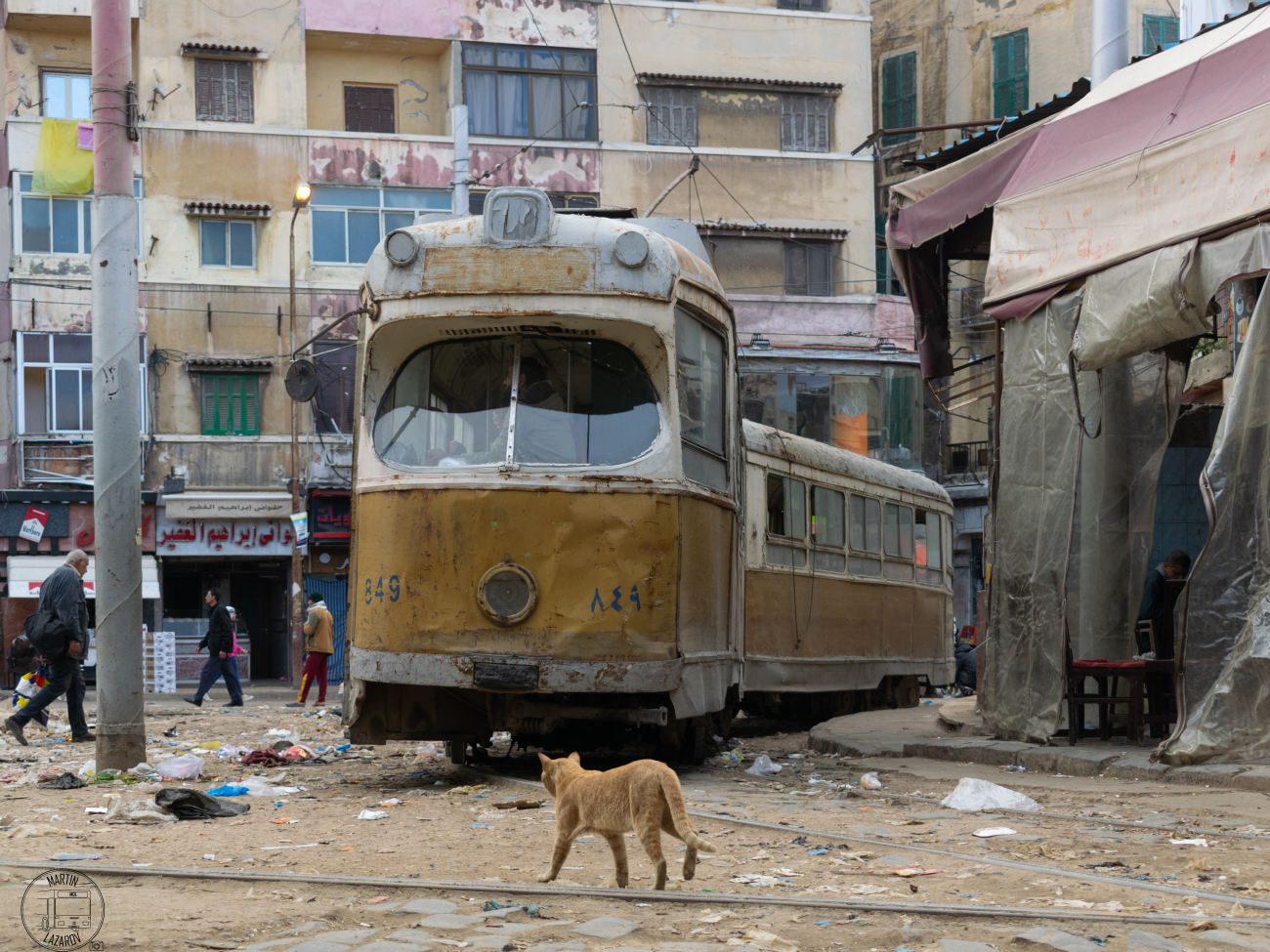 Alexandria, Duewag GT6 # 849; Transport and animals