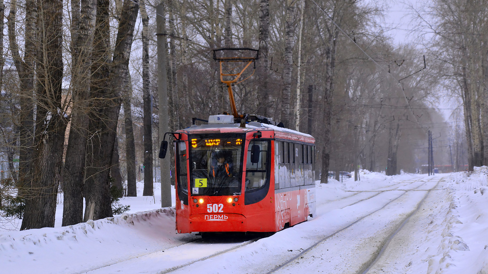 Пермь, 71-623-01 № 502