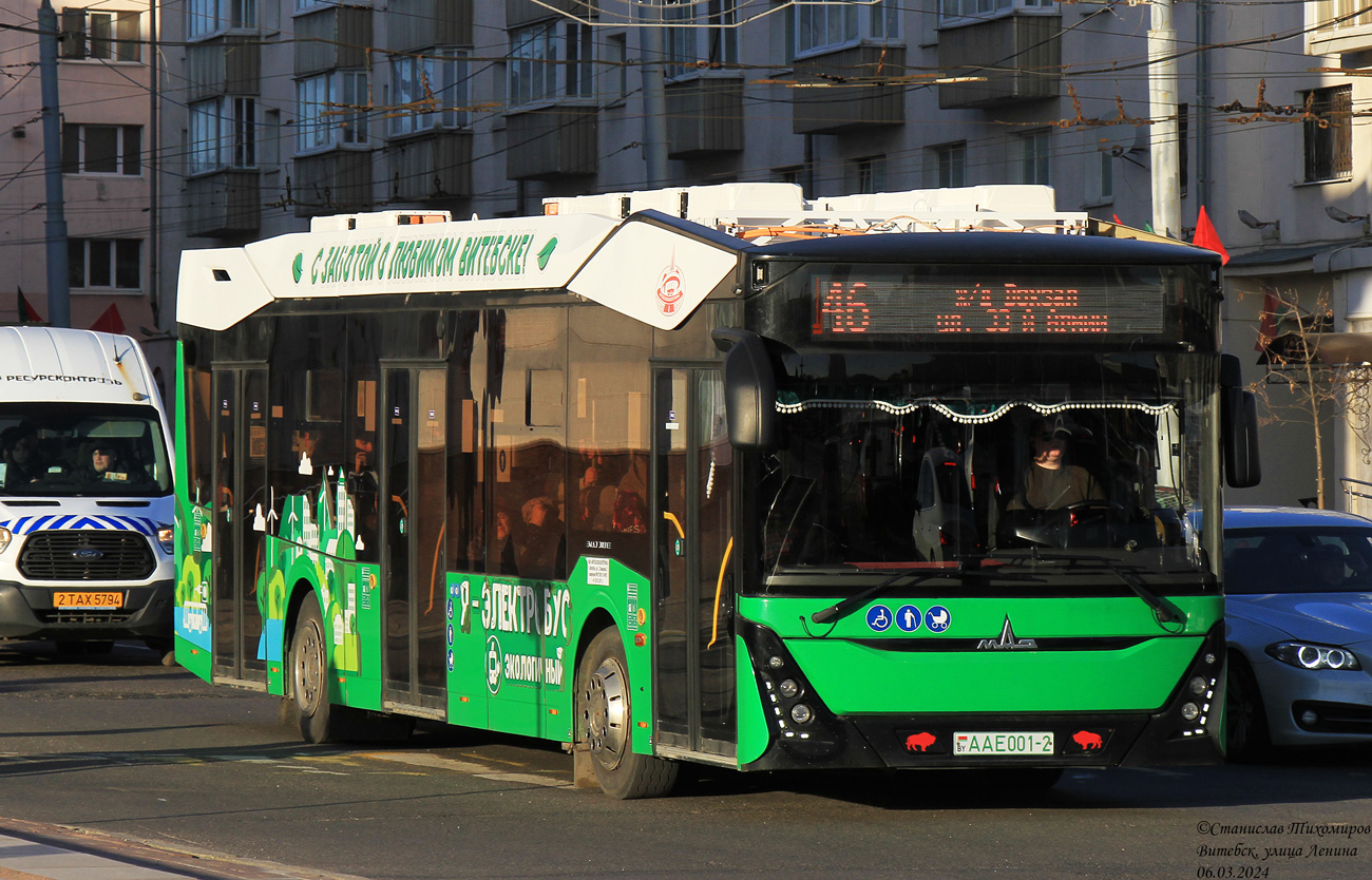 Витебск, МАЗ-303Е10 № АА Е001-2