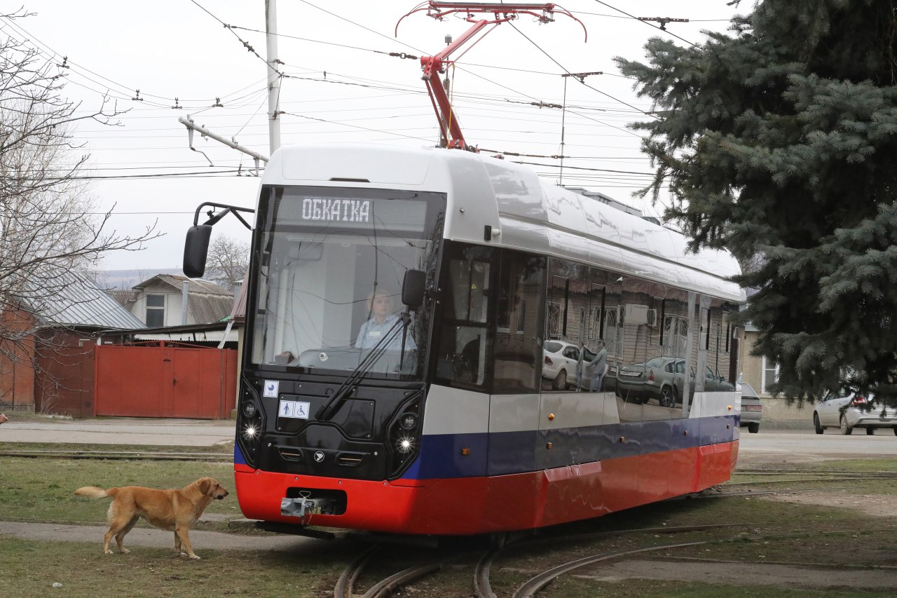 Pyatigorsk, 71-411 № 301; Transport and animals