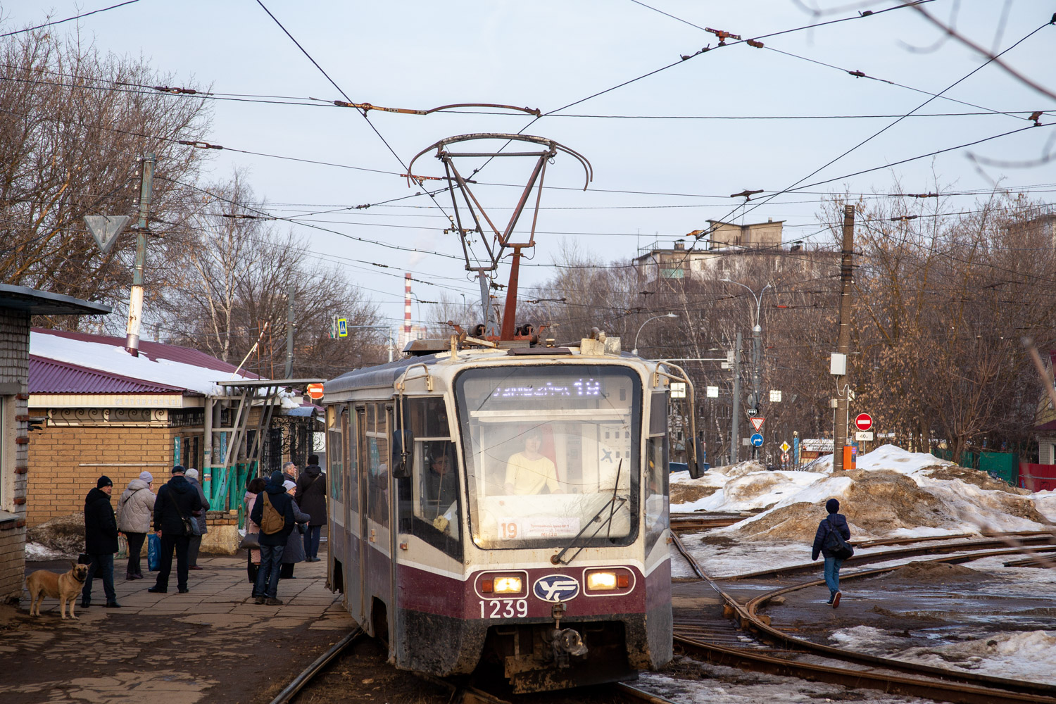 Нижний Новгород, 71-619КТ № 1239