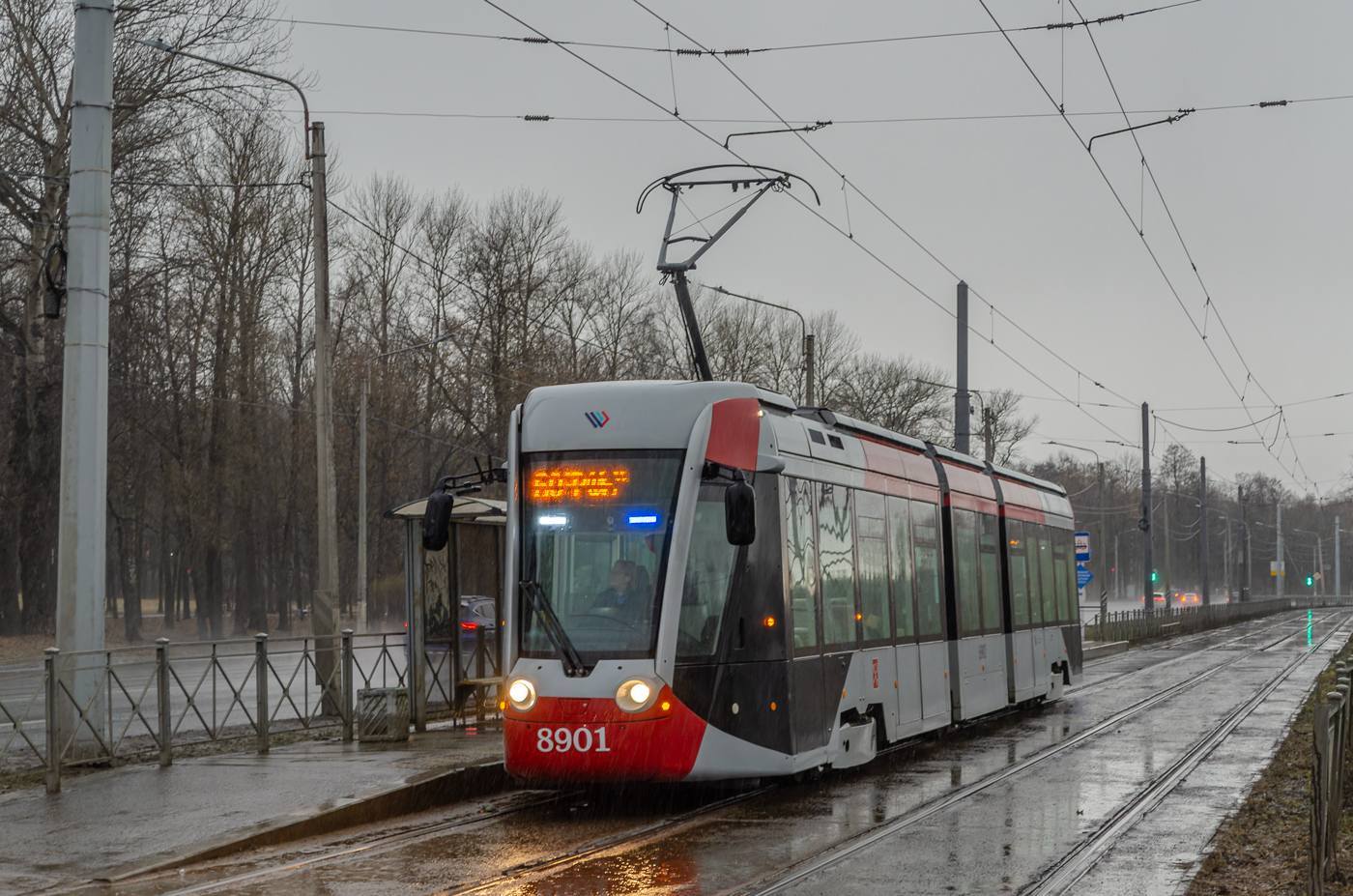 Санкт-Петербург, 71-801 (Alstom Citadis 301 CIS) № 8901