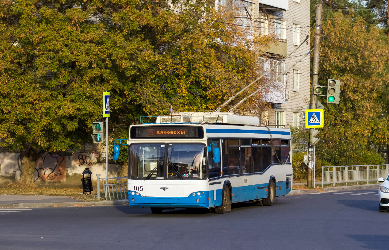 Dzerzhinsk, SVARZ-MAZ-6235.00 № 015