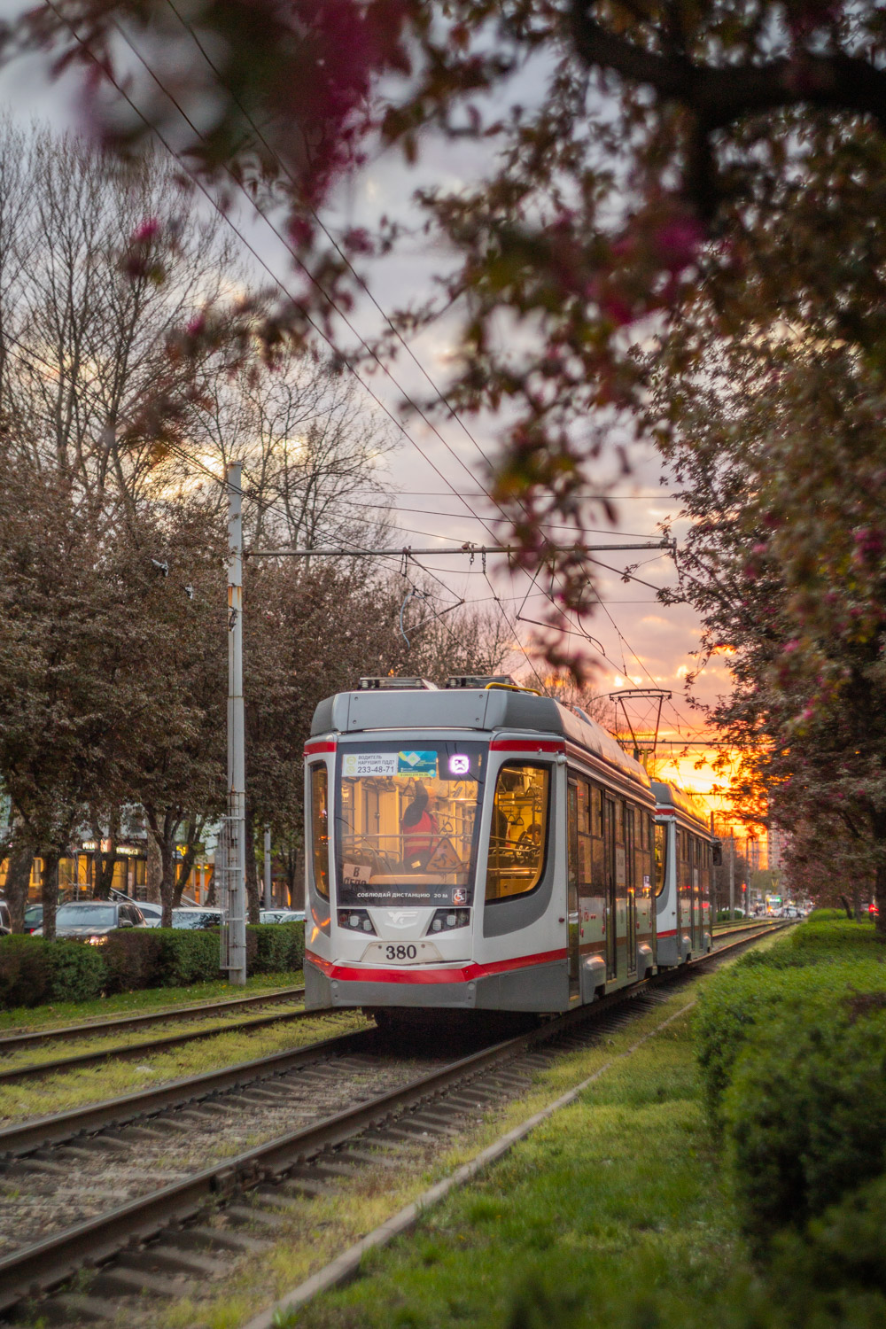 Краснодар, 71-623-04 № 380